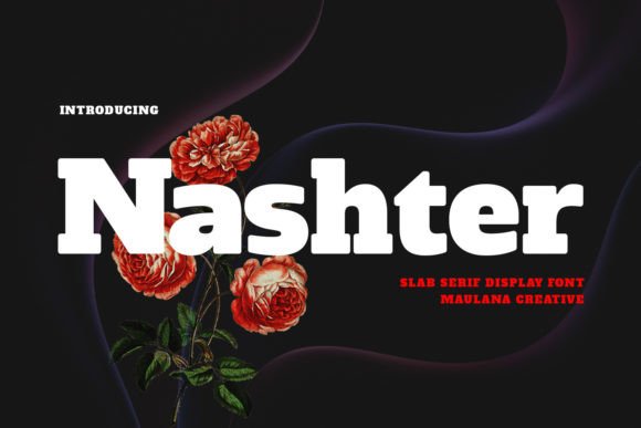 Nashter: A Bold Slab Serif Font for Modern Design